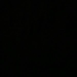 Meet your Posher, Parker